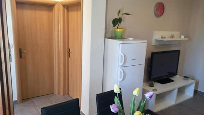 Apartment Dukic Sveti Filip i Jakov Ngoại thất bức ảnh