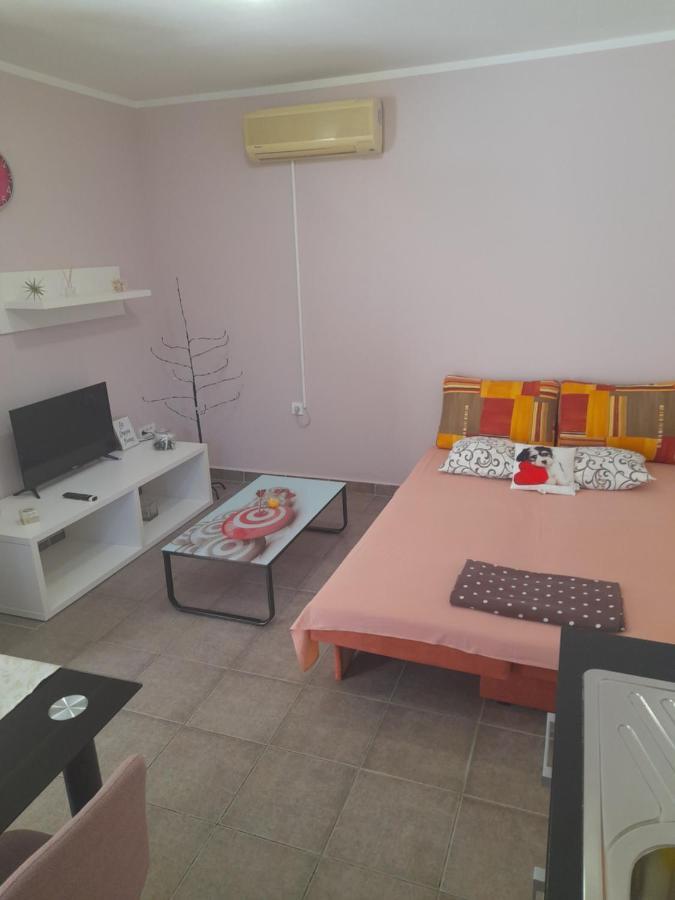 Apartment Dukic Sveti Filip i Jakov Ngoại thất bức ảnh