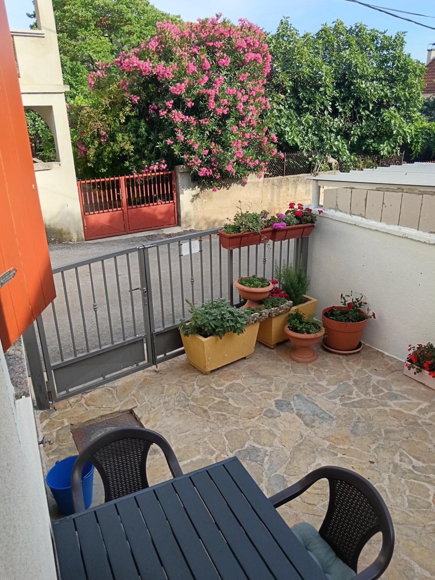 Apartment Dukic Sveti Filip i Jakov Ngoại thất bức ảnh