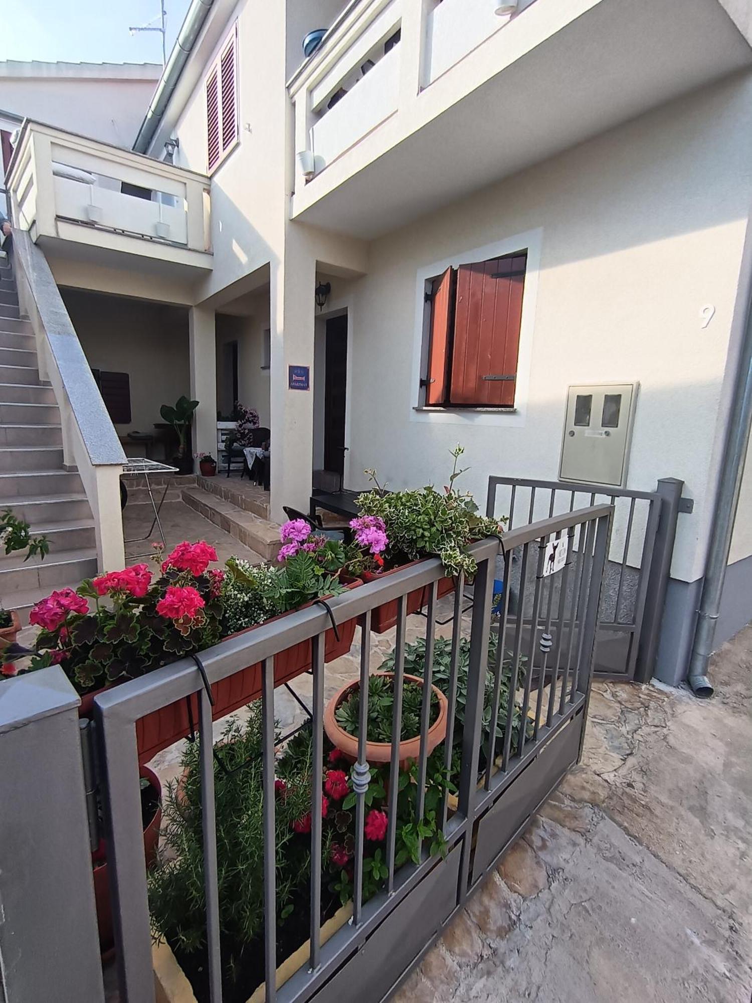 Apartment Dukic Sveti Filip i Jakov Ngoại thất bức ảnh
